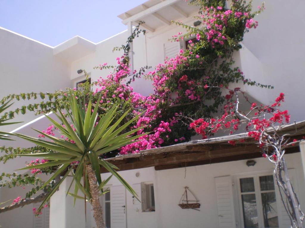 Paros Rita Studios Piso Livadi Exterior foto
