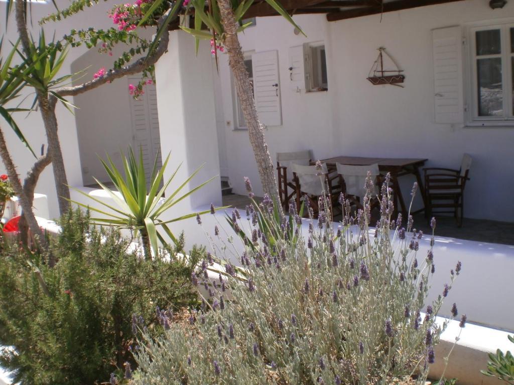 Paros Rita Studios Piso Livadi Exterior foto